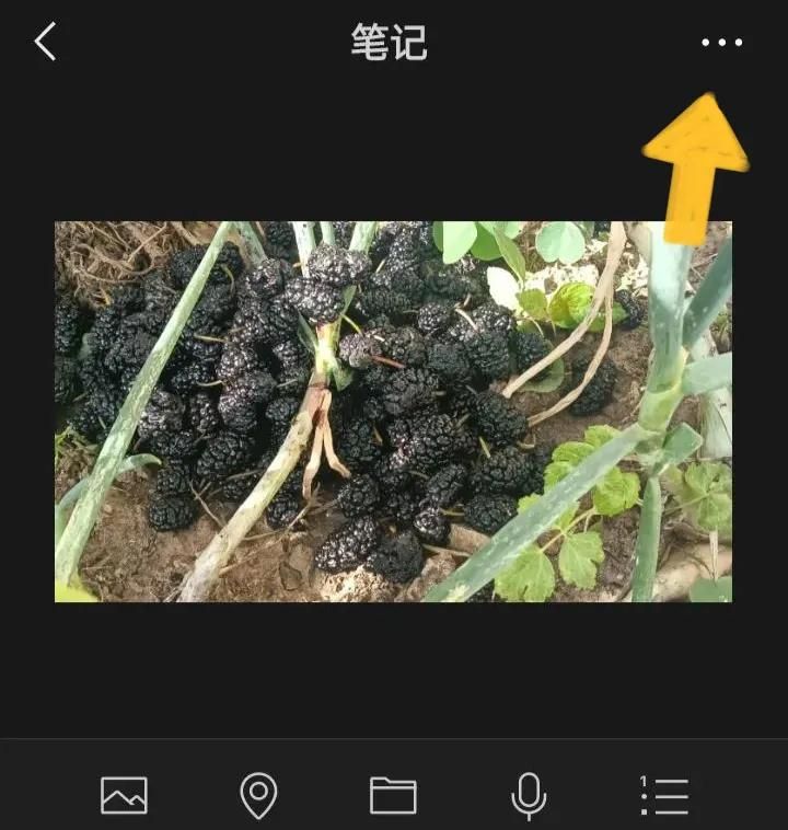 微信使用方法与技巧（五）——微信朋友圈的使用方法