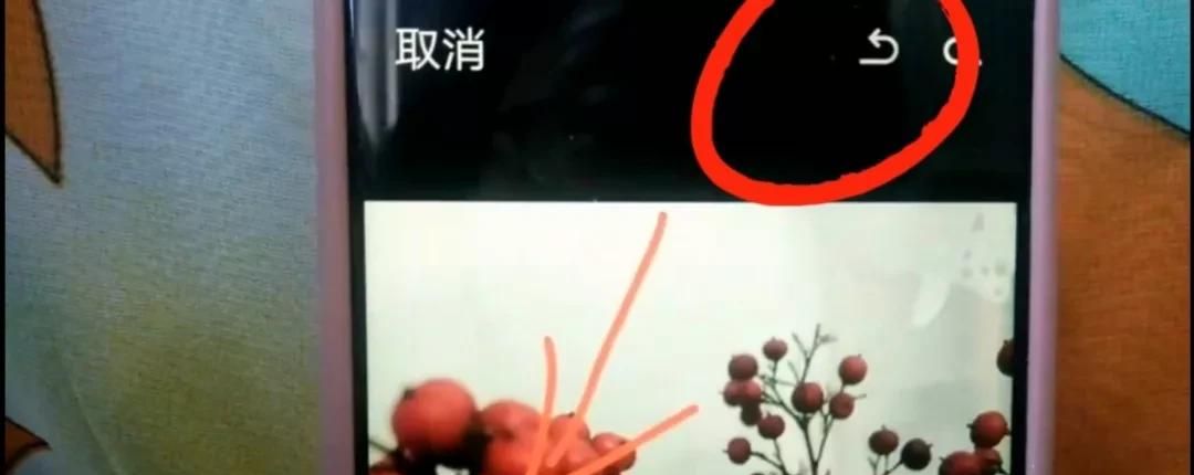 微信图片如何加上字？方法简单一学就会，手把手教会你