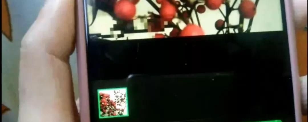 微信图片如何加上字？方法简单一学就会，手把手教会你