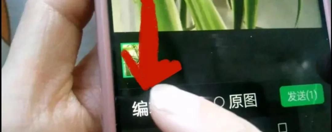 微信图片如何加上字？方法简单一学就会，手把手教会你