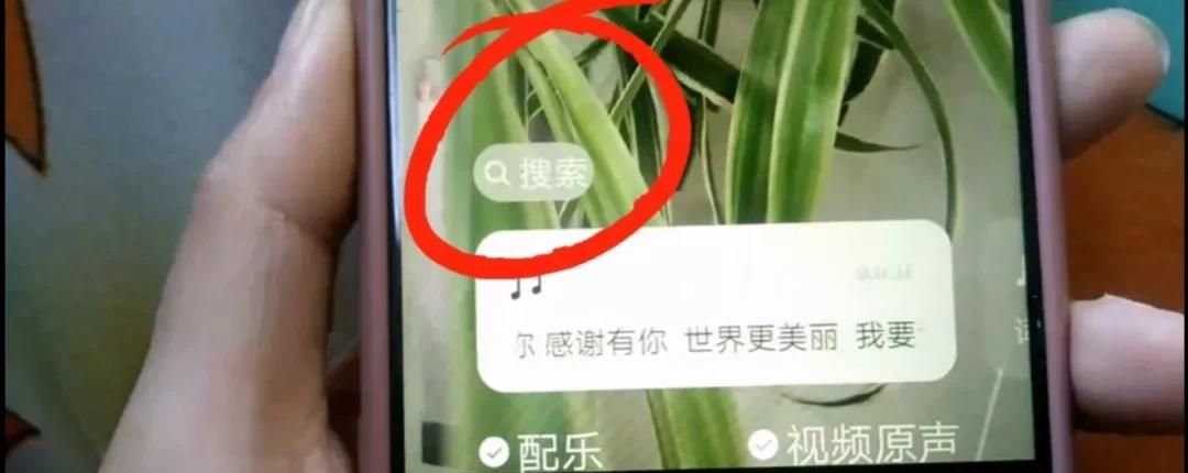 微信图片如何加上字？方法简单一学就会，手把手教会你