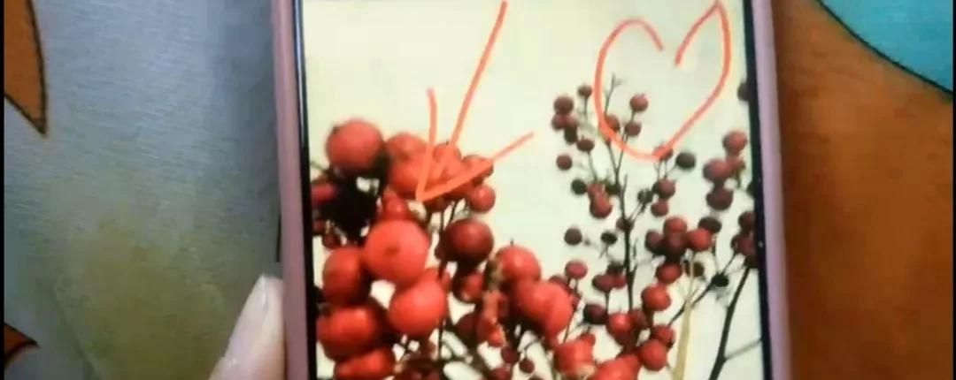 微信图片如何加上字？方法简单一学就会，手把手教会你