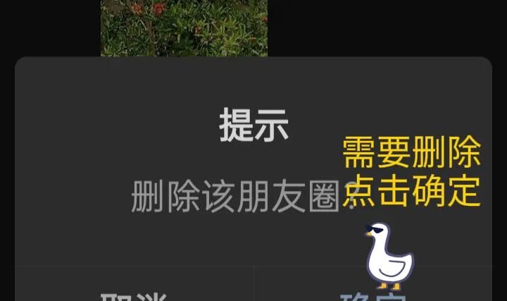 微信使用方法与技巧（五）——微信朋友圈的使用方法