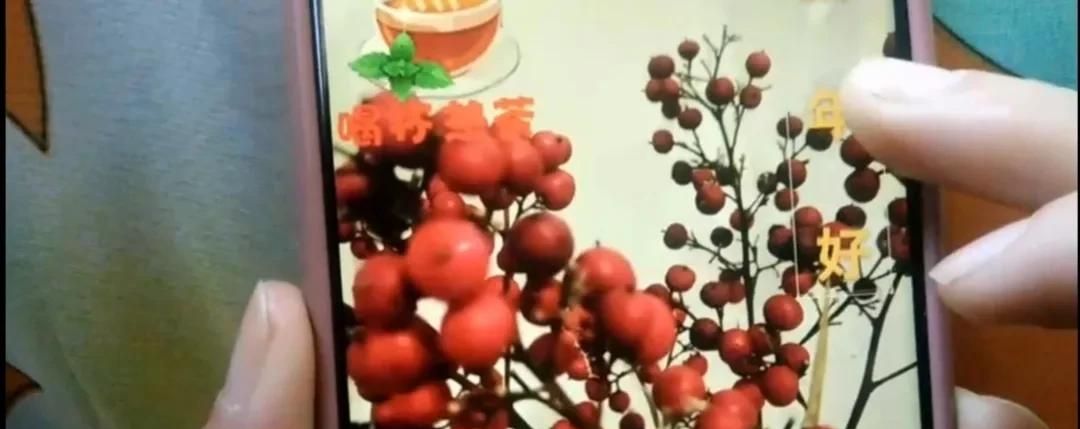 微信图片如何加上字？方法简单一学就会，手把手教会你