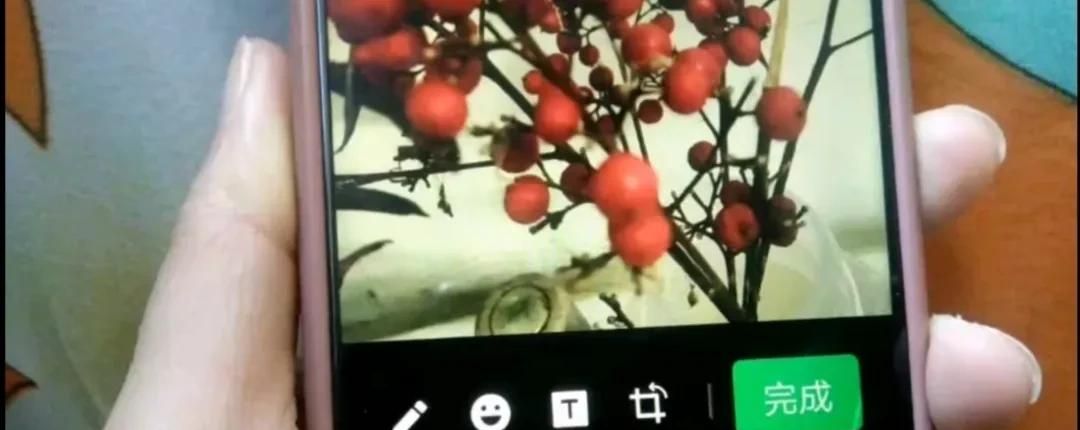 微信图片如何加上字？方法简单一学就会，手把手教会你