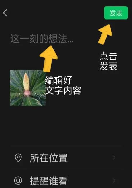 微信使用方法与技巧（五）——微信朋友圈的使用方法
