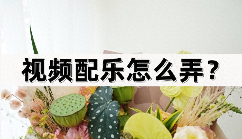 视频配乐怎么弄？方法很简单 - 宋马