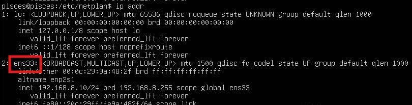 Ubuntu Server 24.04 配置静态IP