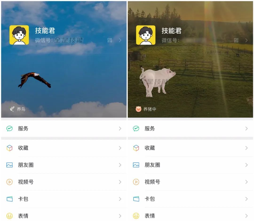 微信状态可以养懒羊羊了，火上热搜！