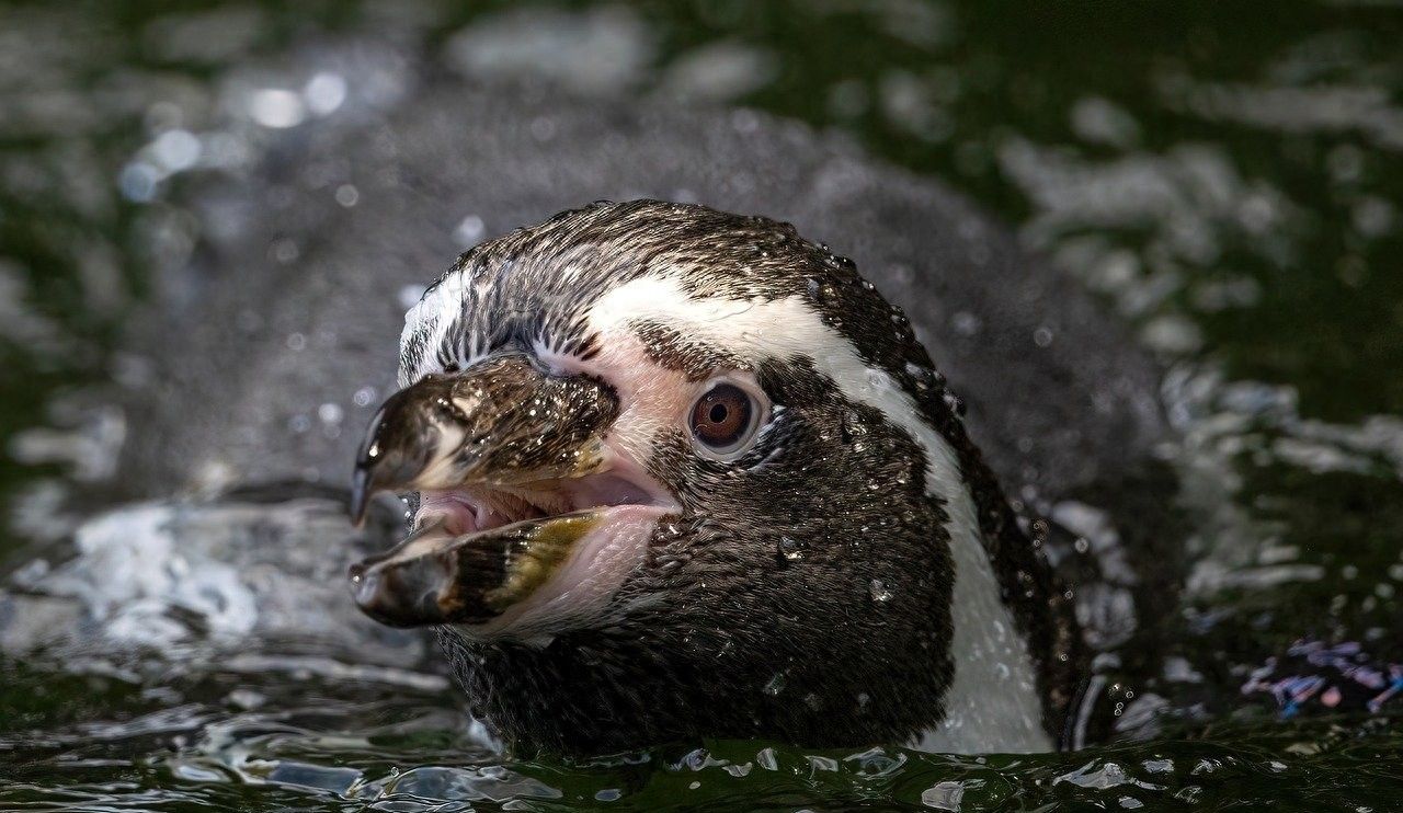 Linux：显示和管理IP址设置 - 宋马