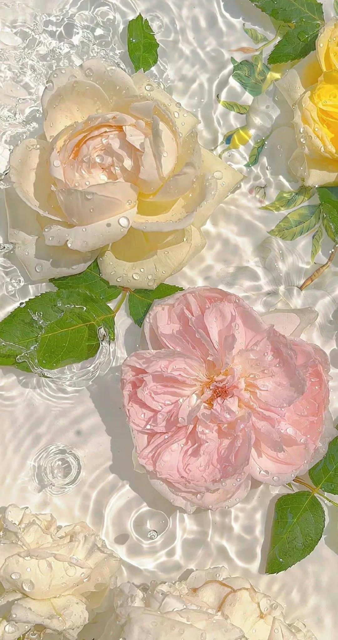 适合微信的全屏手机壁纸