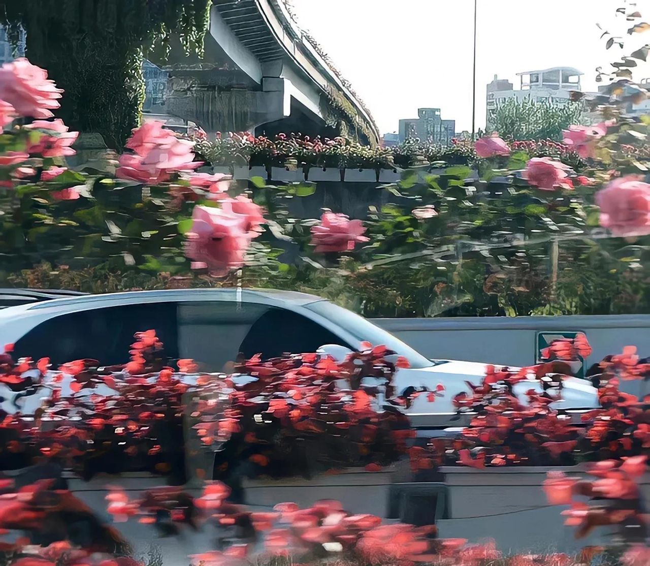 快来换新的微信背景图啦