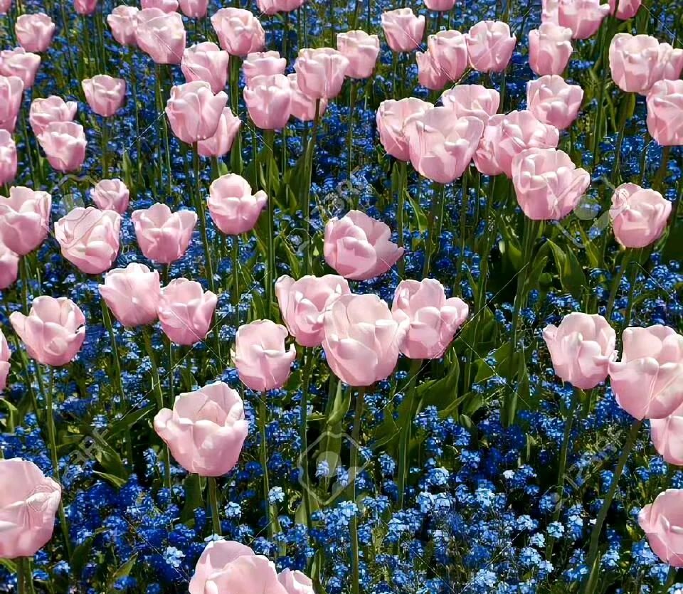 微信背景图｜你必定能成为你想要成为的那个人