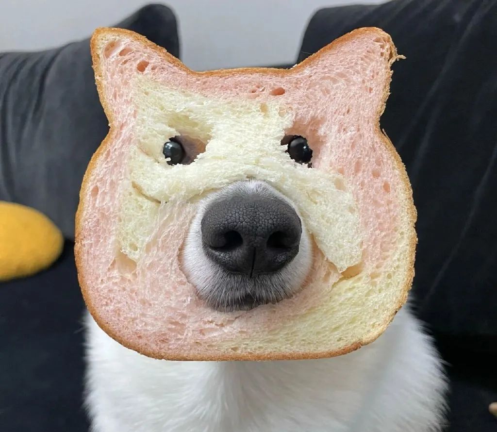 文案 | 微信拍一拍搞笑后缀文案