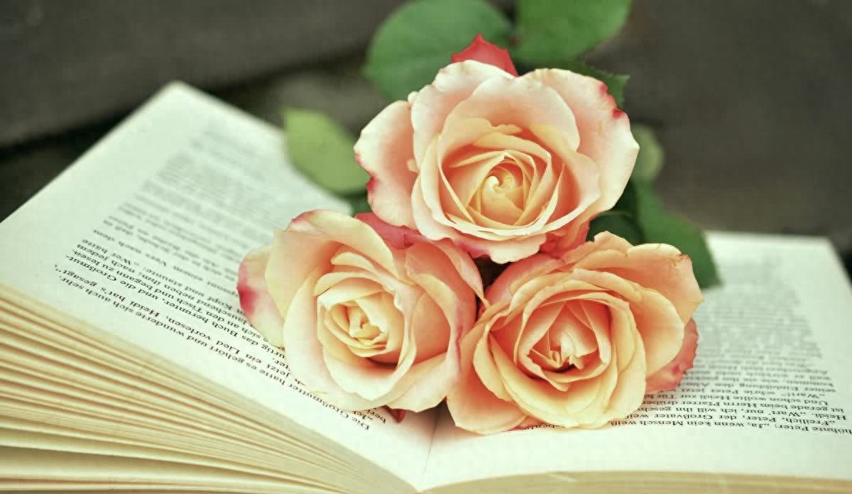 微信这样设置的女人,多半有点“花”,男人要警觉 - 宋马