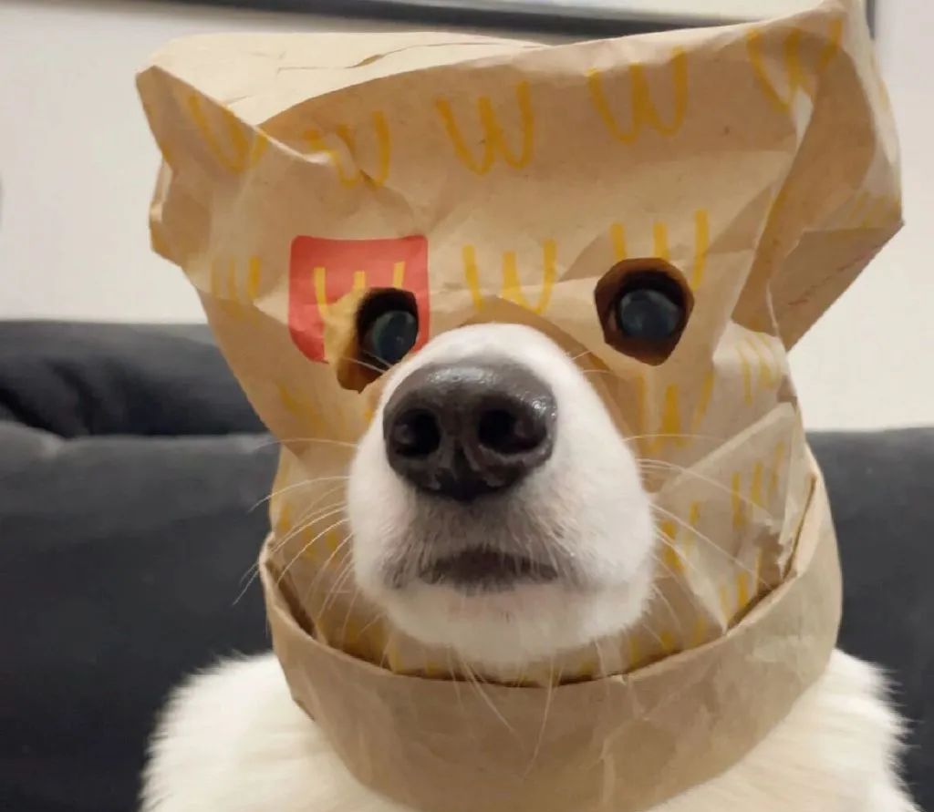 文案 | 微信拍一拍搞笑后缀文案