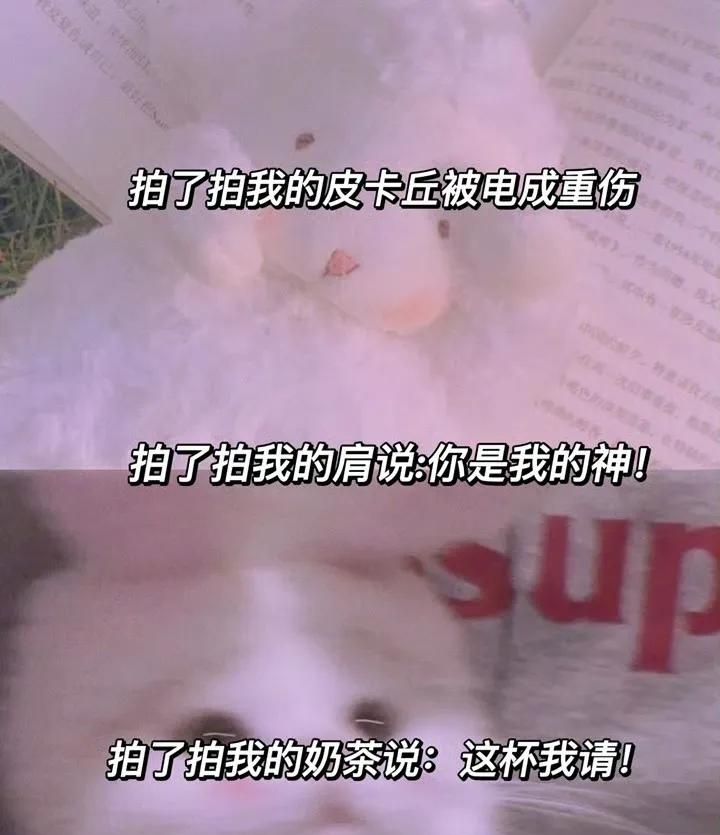 微信“拍一拍”设置的搞笑文案