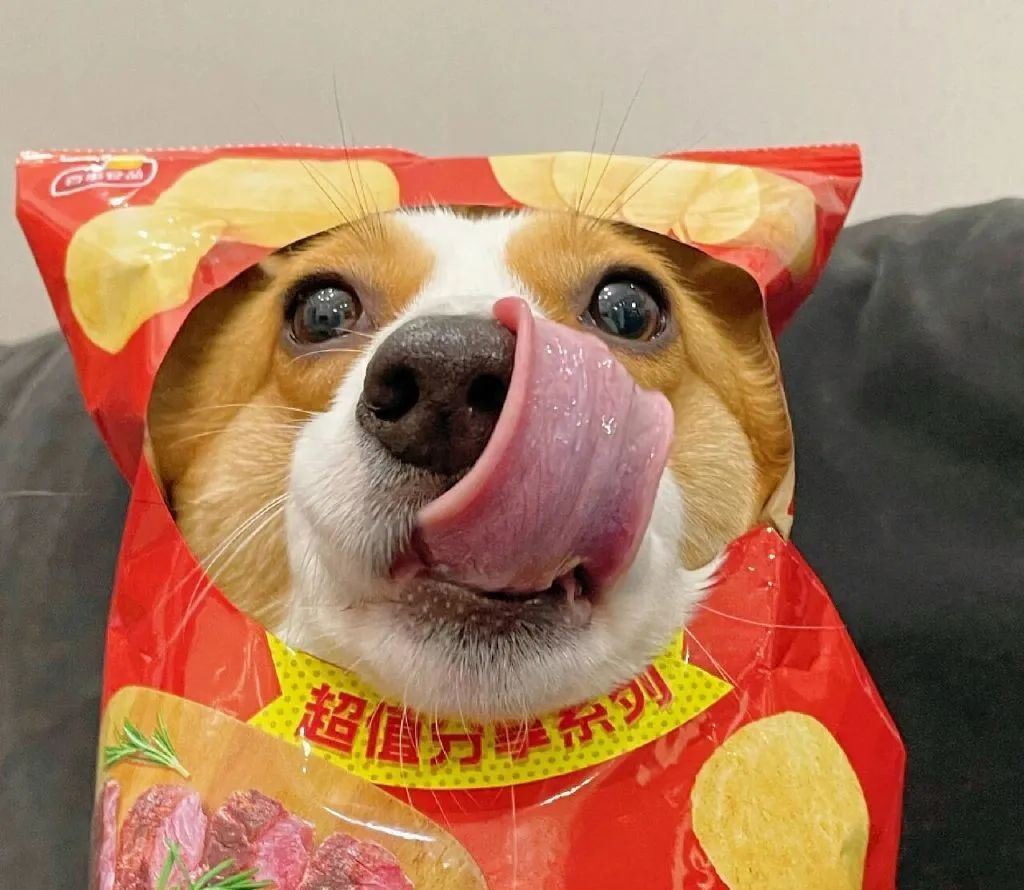 文案 | 微信拍一拍搞笑后缀文案