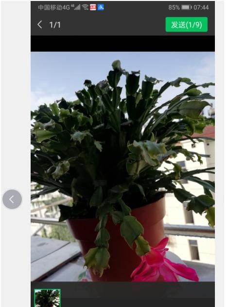 用最简单的方法给手机照片添加文字!雷哥手把手教你2分钟搞定