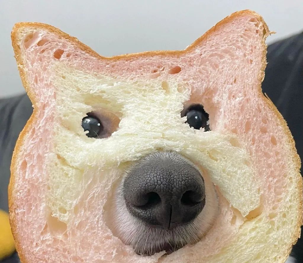 文案 | 微信拍一拍搞笑后缀文案