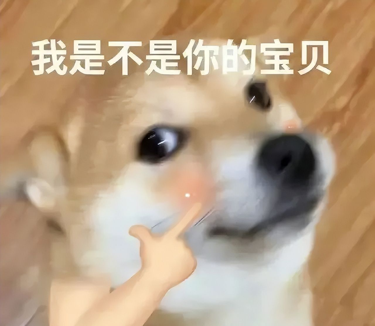 微信聊天分组丨壁纸