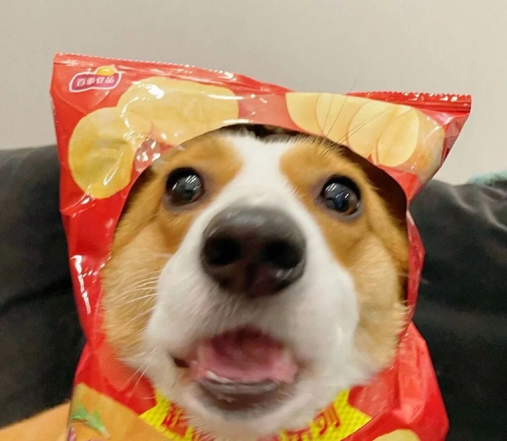 文案 | 微信拍一拍搞笑后缀文案