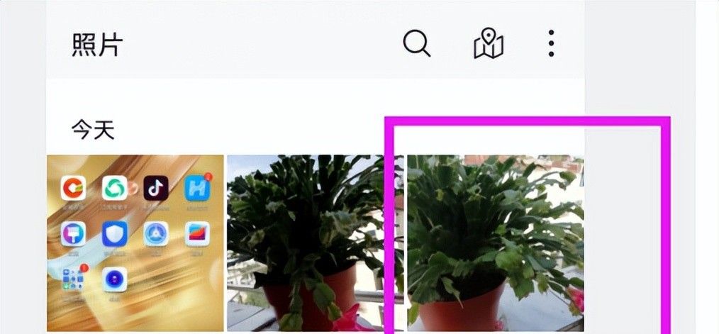 用最简单的方法给手机照片添加文字!雷哥手把手教你2分钟搞定