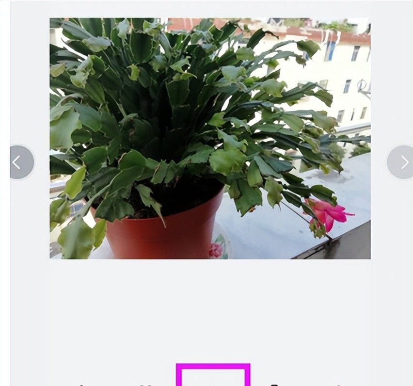 用最简单的方法给手机照片添加文字!雷哥手把手教你2分钟搞定