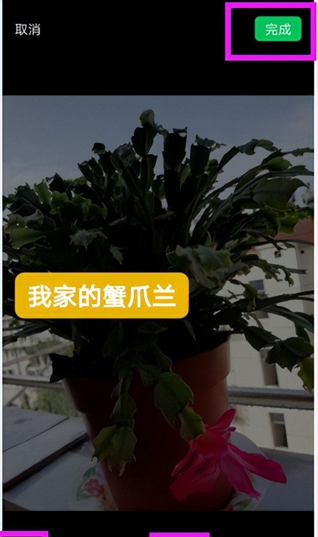 用最简单的方法给手机照片添加文字!雷哥手把手教你2分钟搞定