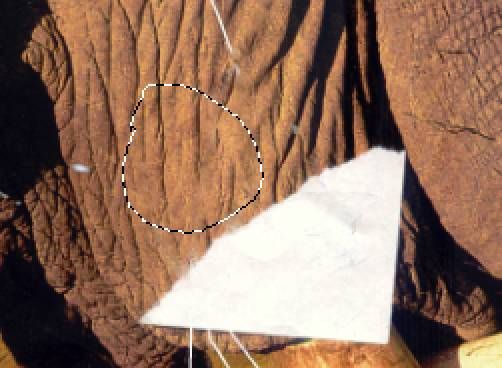 图片如何去水印？