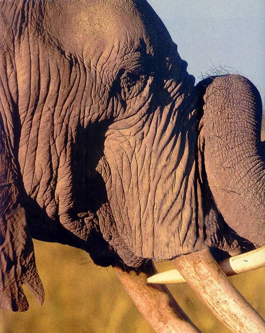 图片如何去水印？