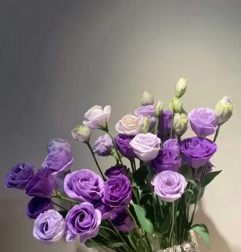 8月份值得用很久的微信聊天背景 手机屏幕图纸