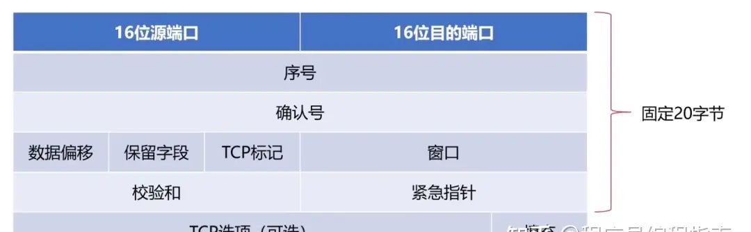 计算机网络知识点