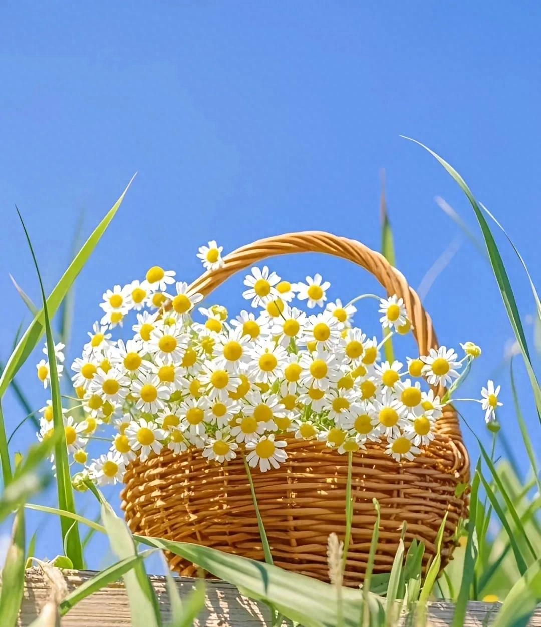 你该换微信聊天背景了 - 宋马