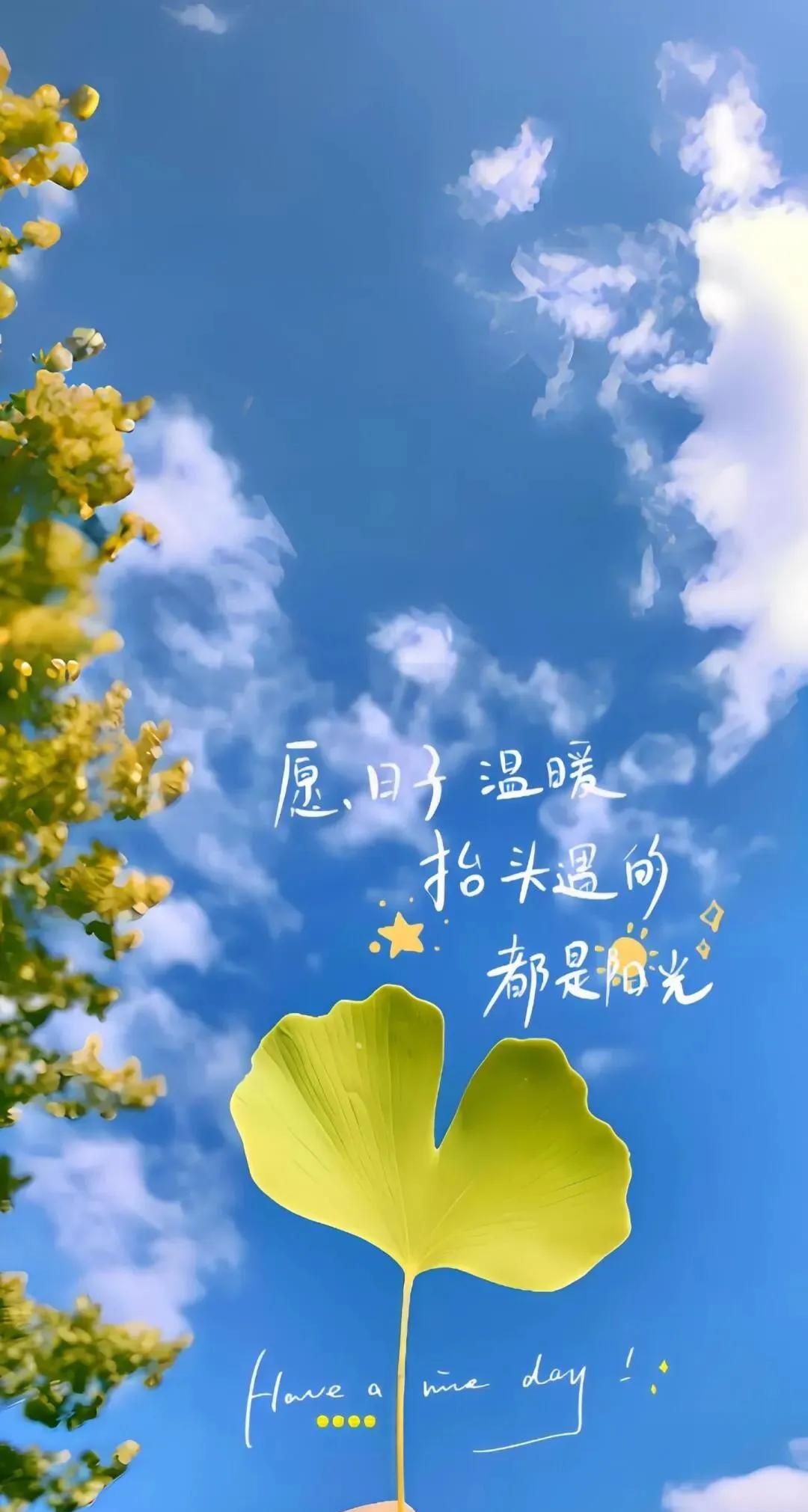 WeChat‖微信拍一拍