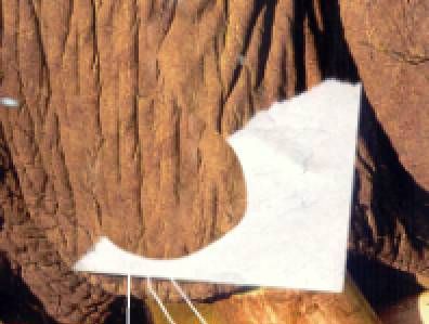 图片如何去水印？