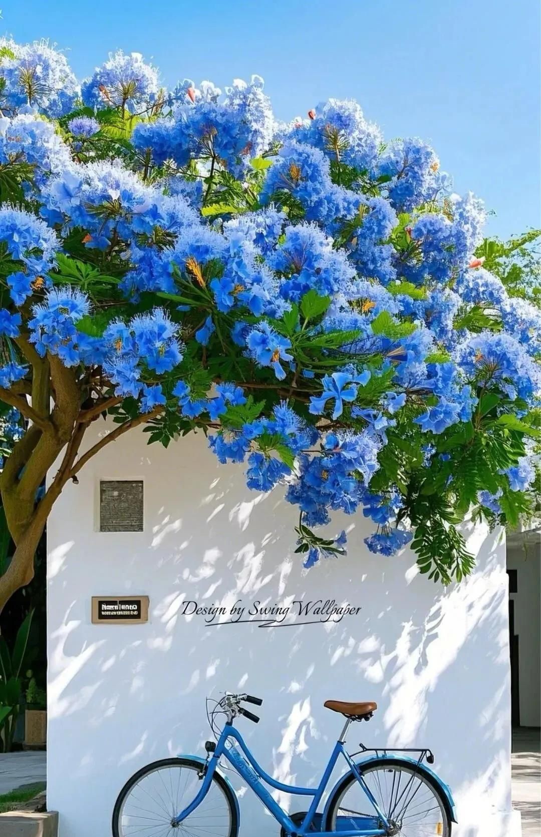 WeChat‖微信拍一拍