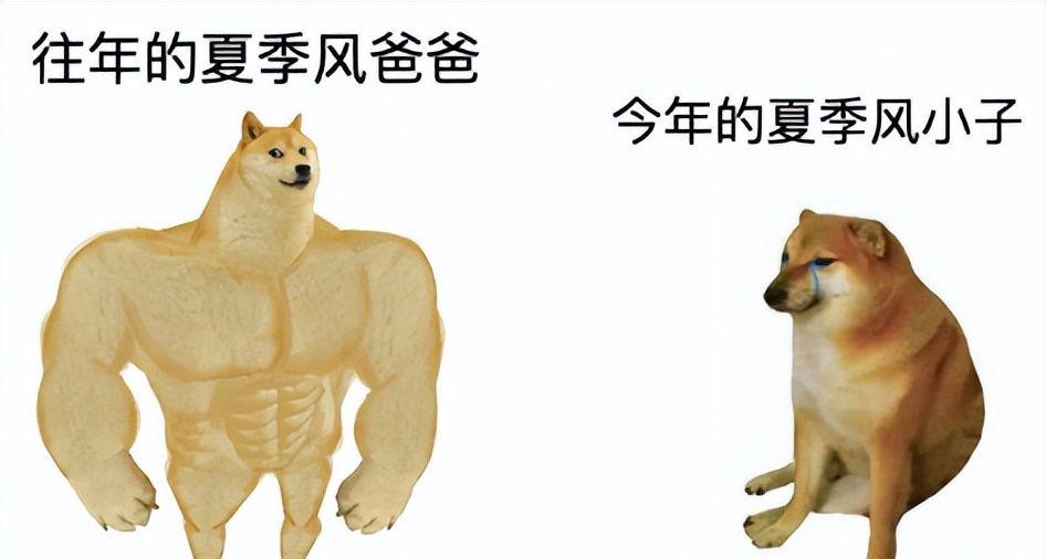 手机移动网络变得很慢？可能是被40度的天热坏了