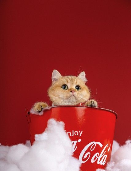 学会这几招，聊天自带「治愈滤镜」 - 宋马