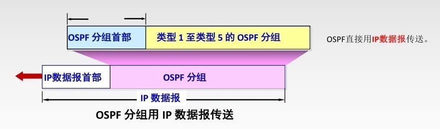 计算机网络知识点总结-第四章:网络层