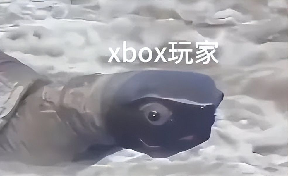 发售即破解？Switch2惊爆安全漏洞，有的机器甚至都没装系统！