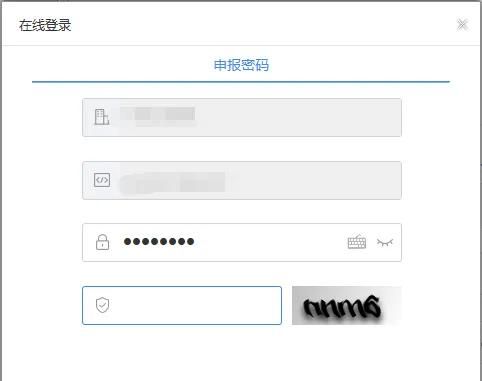 自然人税收管理系统扣缴客户端实名登录操作指南