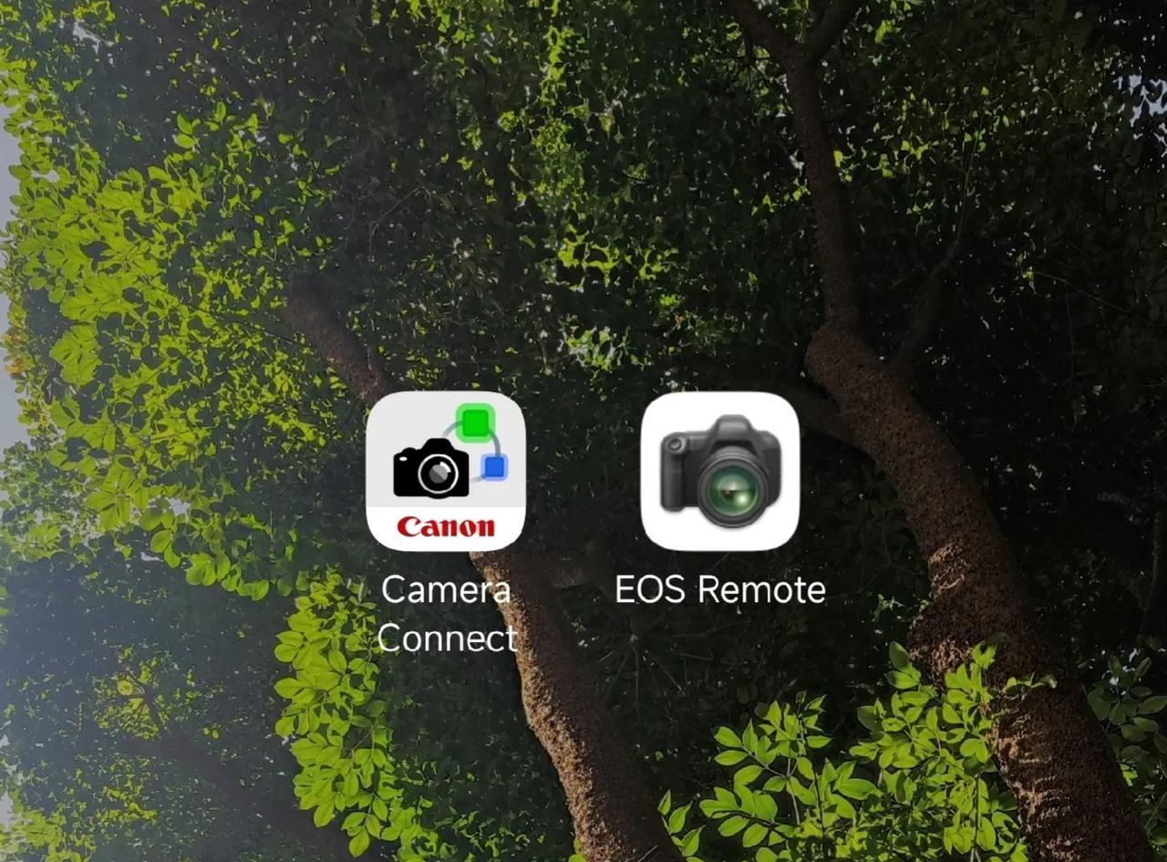 如何重置Canon EOS70D的WIFI