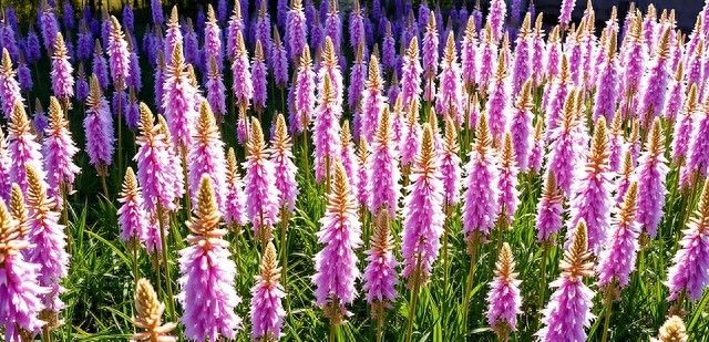 朋友圈“仅三天可见”，大多是这四种人 - 宋马