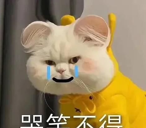手机“恢复出厂设置”后，真会像新机一样流畅吗？答案你可能不信
