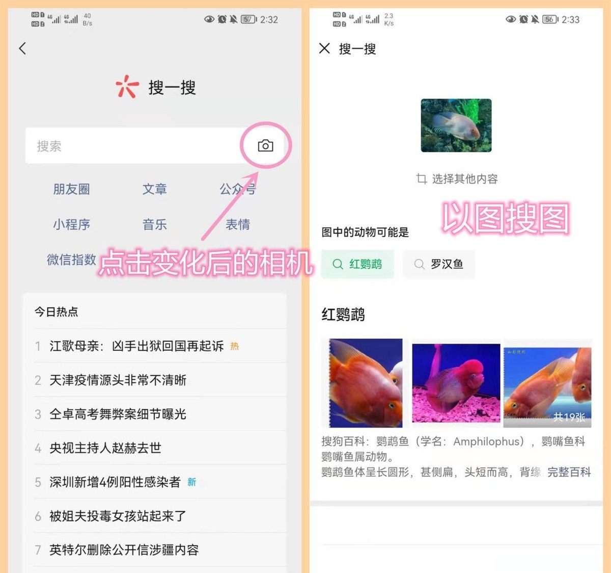 终于等到了！微信8.0.18正式版发布：新增多个实用功能