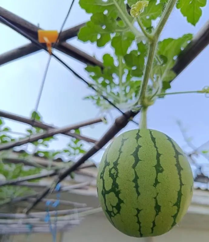 3500左右的手机选哪个?续航长,直面屏,拍照好,网络好,颜值高