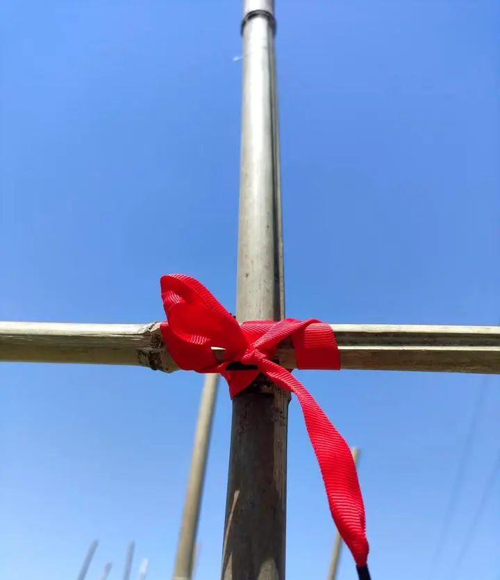 3500左右的手机选哪个?续航长,直面屏,拍照好,网络好,颜值高