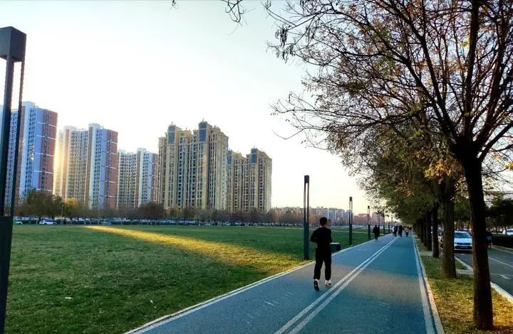 3500左右的手机选哪个?续航长,直面屏,拍照好,网络好,颜值高