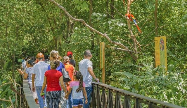 微信右下角的＋号，原来这么好用，还隐藏着3个实用功能